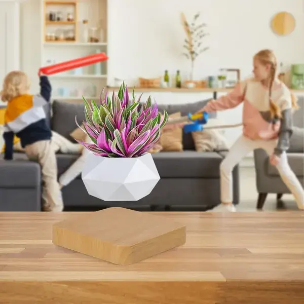 Magnetic Floating Plant Pot